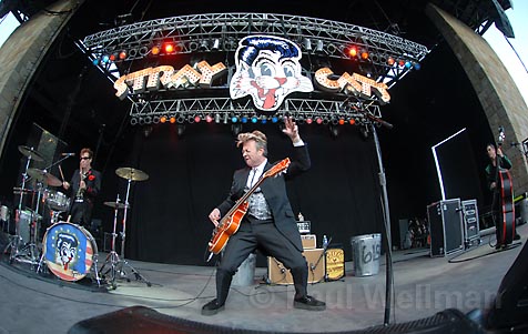 Stray Cats at Wolf Trap