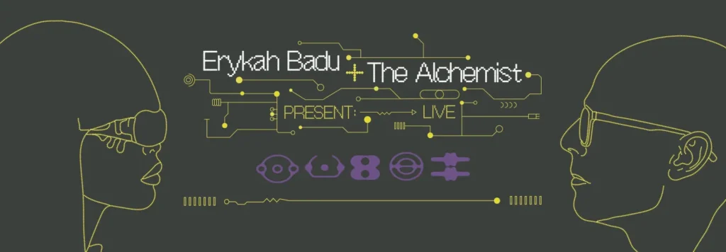 Erykah Badu at Wolf Trap National Park for the Performing Arts